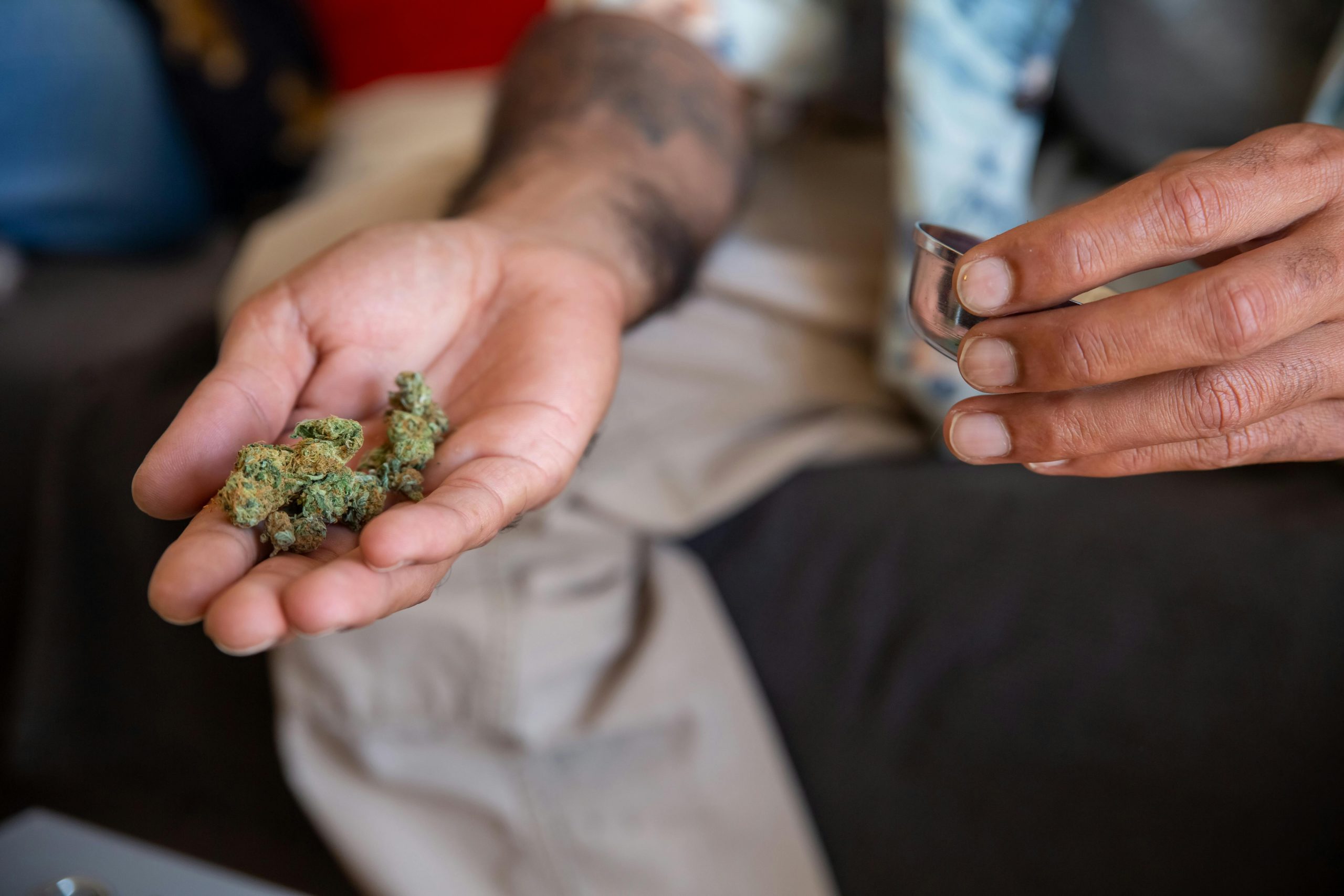 DOJ Claims Marijuana Safer Than It Is: Guest Column