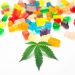 Marijuana Edibles “a Growing Danger” for Kids: CNN