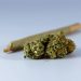 New Study Shows Marijuana is Sending Older Adults to the E.R.