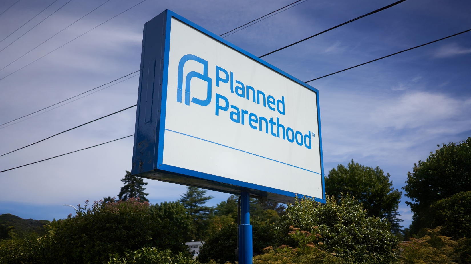 From One Clinic to Millions of Aborted Babies: Guest Column