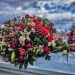 Guest Column: Dying with Dignity vs. “Death with Dignity”