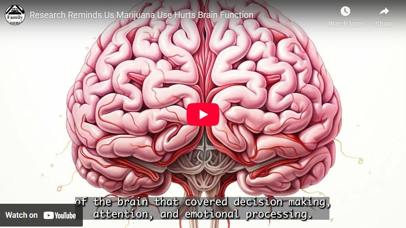 Research Reminds Us Marijuana Use Hurts Brain Function