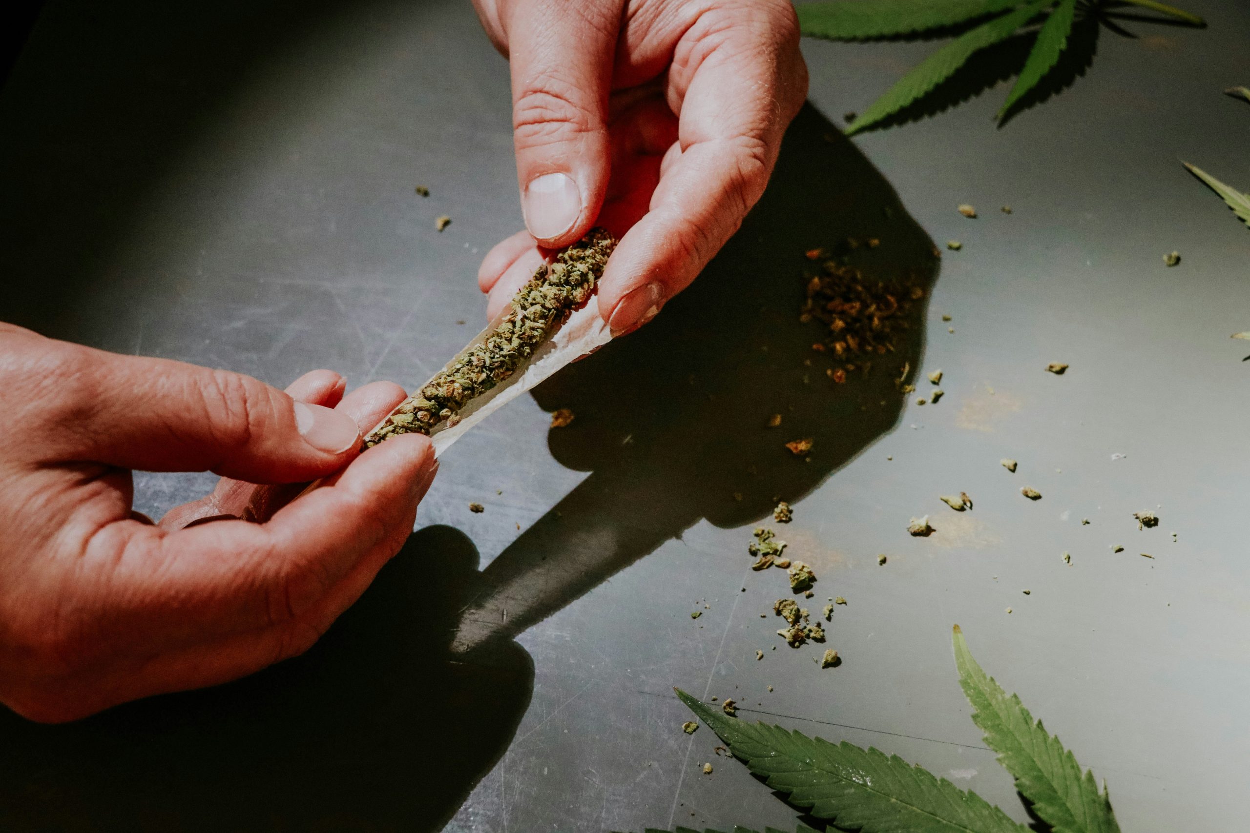 Researchers Express Concerns Over Contaminated Marijuana Products