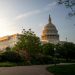 Family Council Urges Arkansans to Contact U.S. Senate Regarding Drugs Made from Hemp