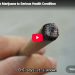 Report Links Marijuana to Serious Health Condition