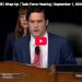 Founder of “Have My Baby in Miami” Pleads the Fifth During Congressional Inquiry into Birth Tourism