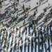 The Population Zombie Strikes Again: Guest Column