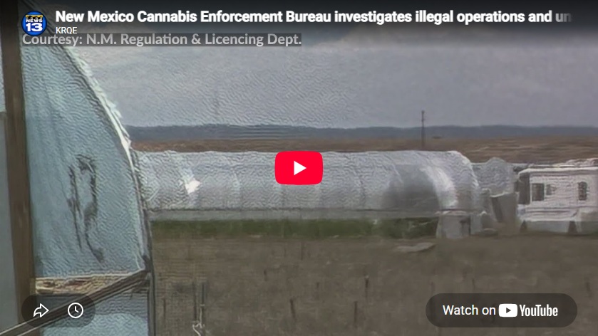 In New Mexico, Black Market Marijuana Still a Problem